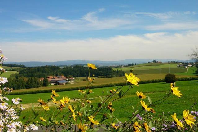 Ferienwohnung Im Bayerischen Wald Tittling 외부 사진